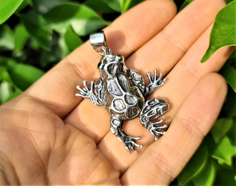925 sterling silver necklace Frog