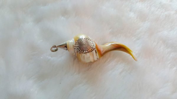 Eliz Sterling Silver 925 Pendant Natural Ocean Shell Swirl gift Talisman Amulet Nautilus