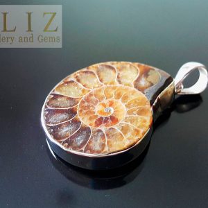 Sterling Silver 925 Natural Ammonite Fossil Nautilus Rock Pendant Talisman Amulet Exclusive