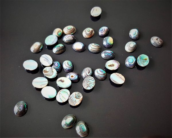 Abalone 10 pc LOT Loose HALIOTIS Genuine Gemstones 8x10 mm Natural Haliotis OVAL Shape Stone Cabochon Cut Mothe rof Pearl Wholesale Lot