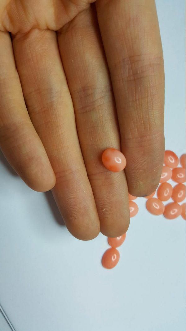 Coral Wholesale Lot 10 pcs Natural CORAL Oval 10x8 Loose Cabochon Angel Skin Light Peach Pink  Highest Quality
