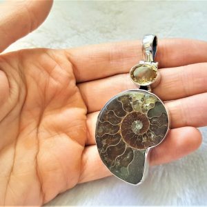 Ammonite Fossil with Citrine Pendant