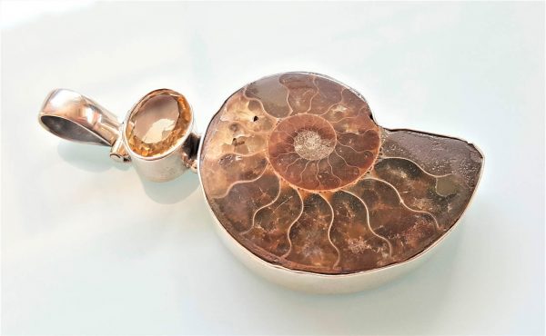 Ammonite Fossil with Citrine Pendant